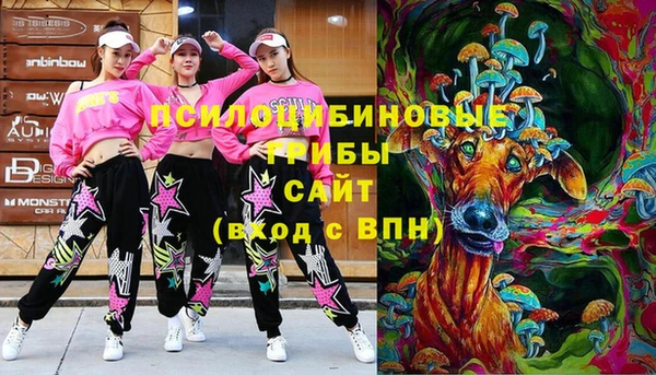 экстази Баксан
