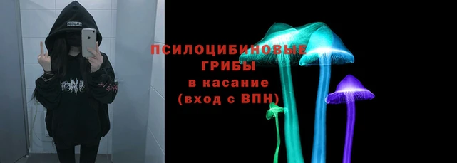 гашиш Приозерск