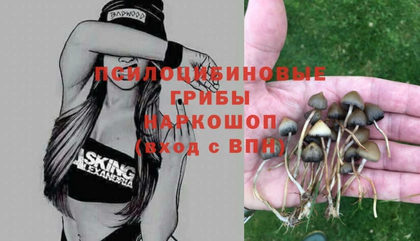 бутират Балахна