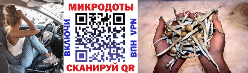 Псилоцибиновые грибы Magic Shrooms  mega как войти  Салаир  купить наркоту 